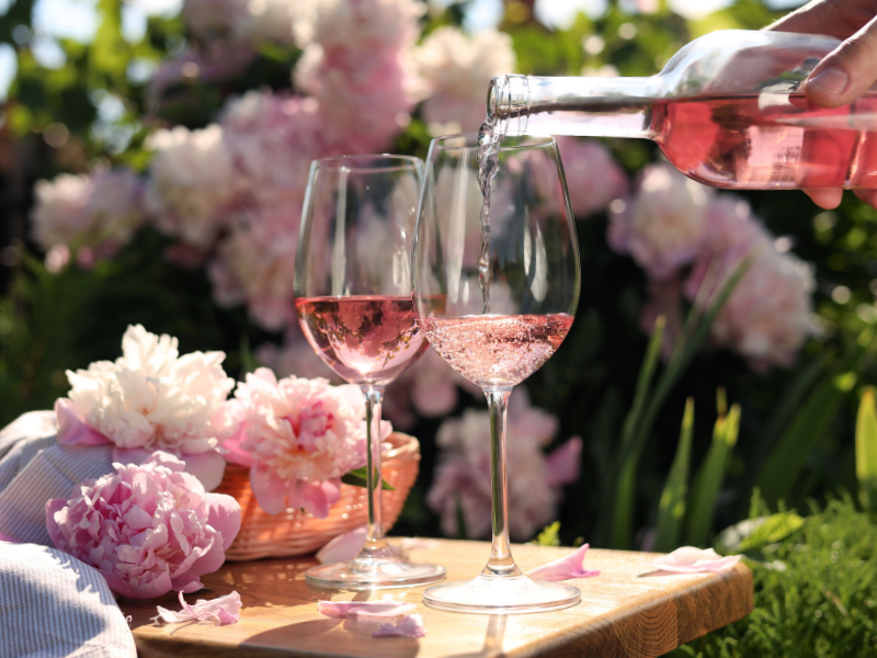 wine tasting in beautiful setting